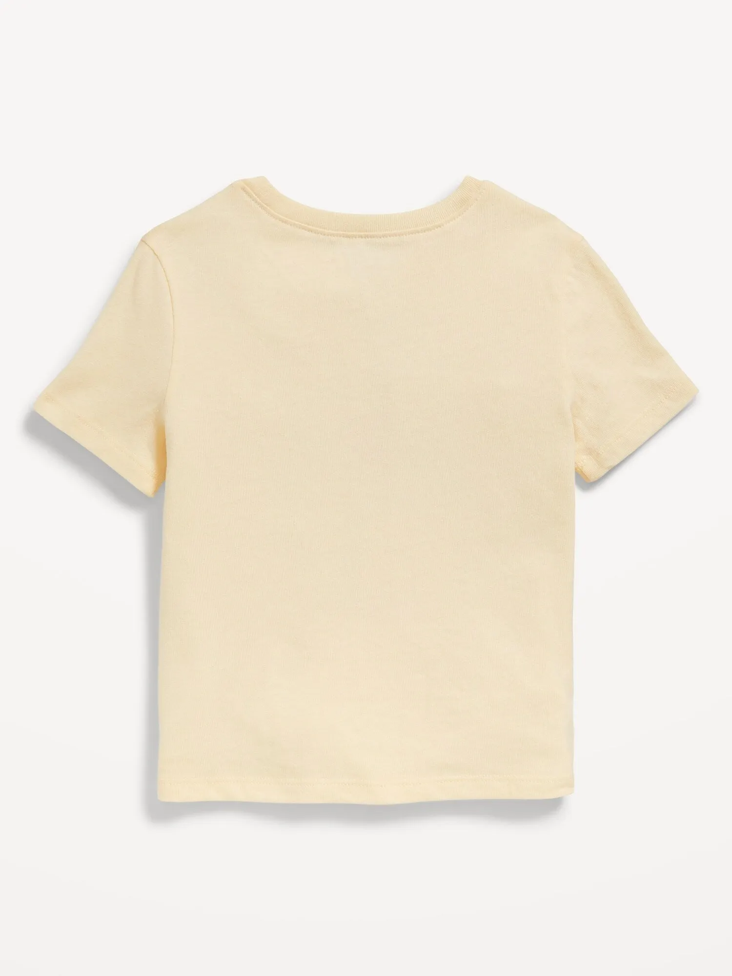 Birthday Graphic T-Shirt for Toddler Girls