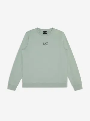 Boys Logo Sweatshirt in Green