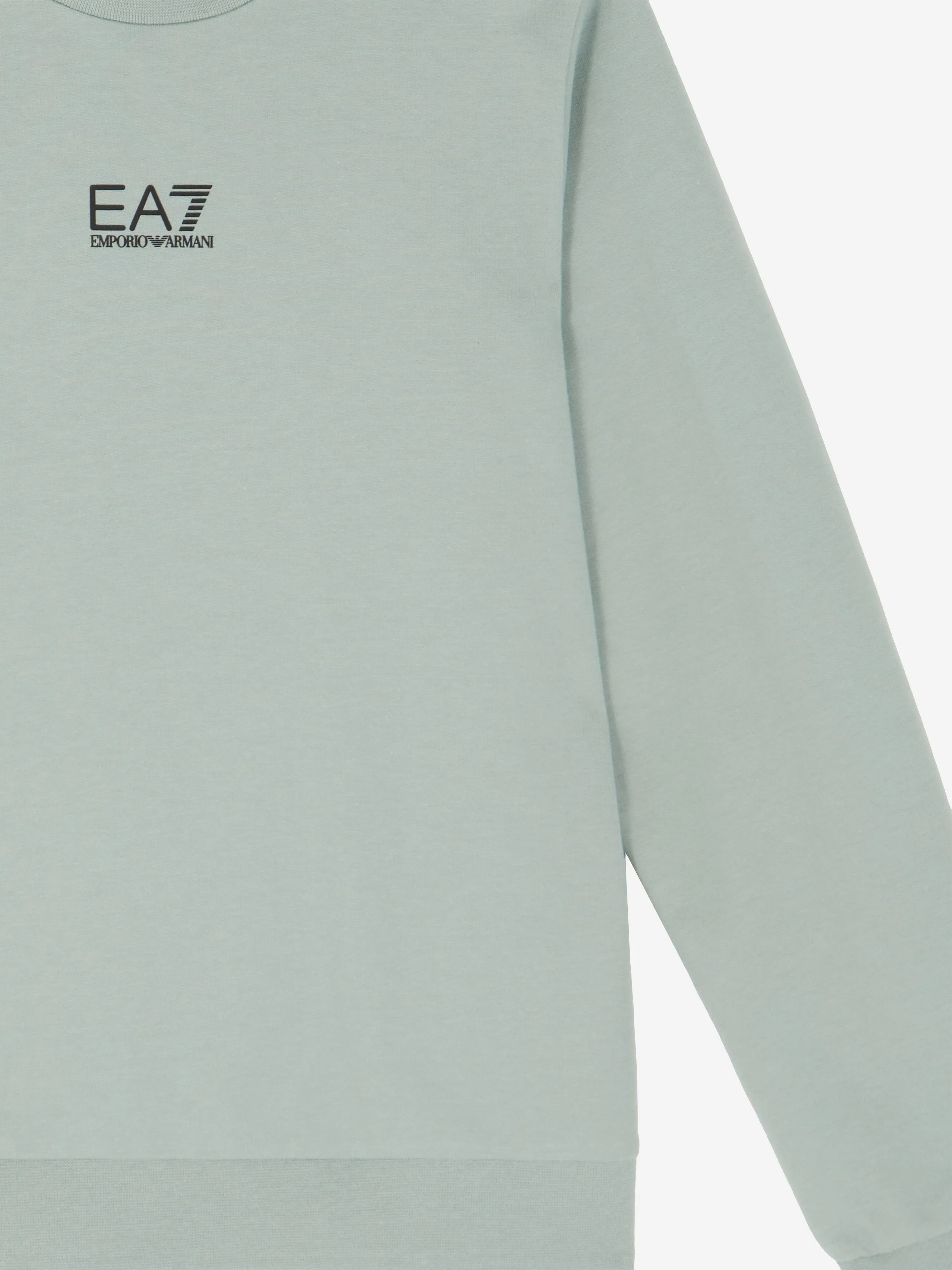 Boys Logo Sweatshirt in Green