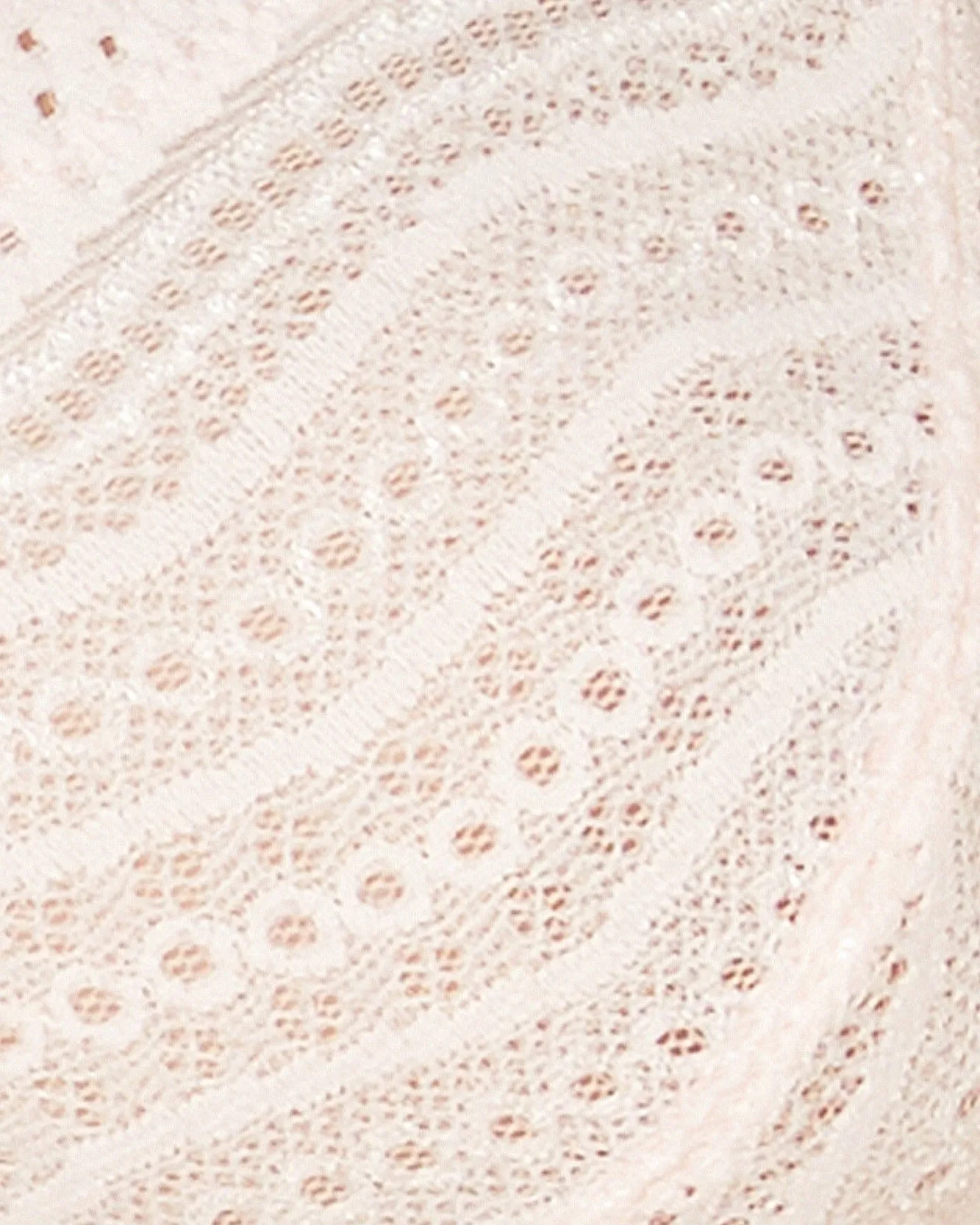 Curvy Bralette Cosabella