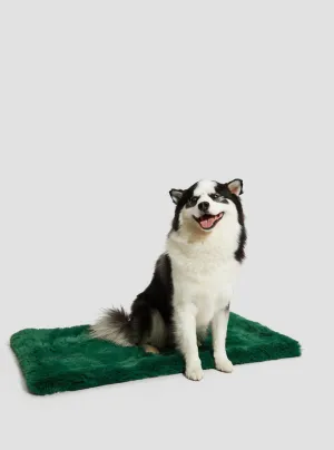 Green Faux-Fur Luxury Pet Rug Guess