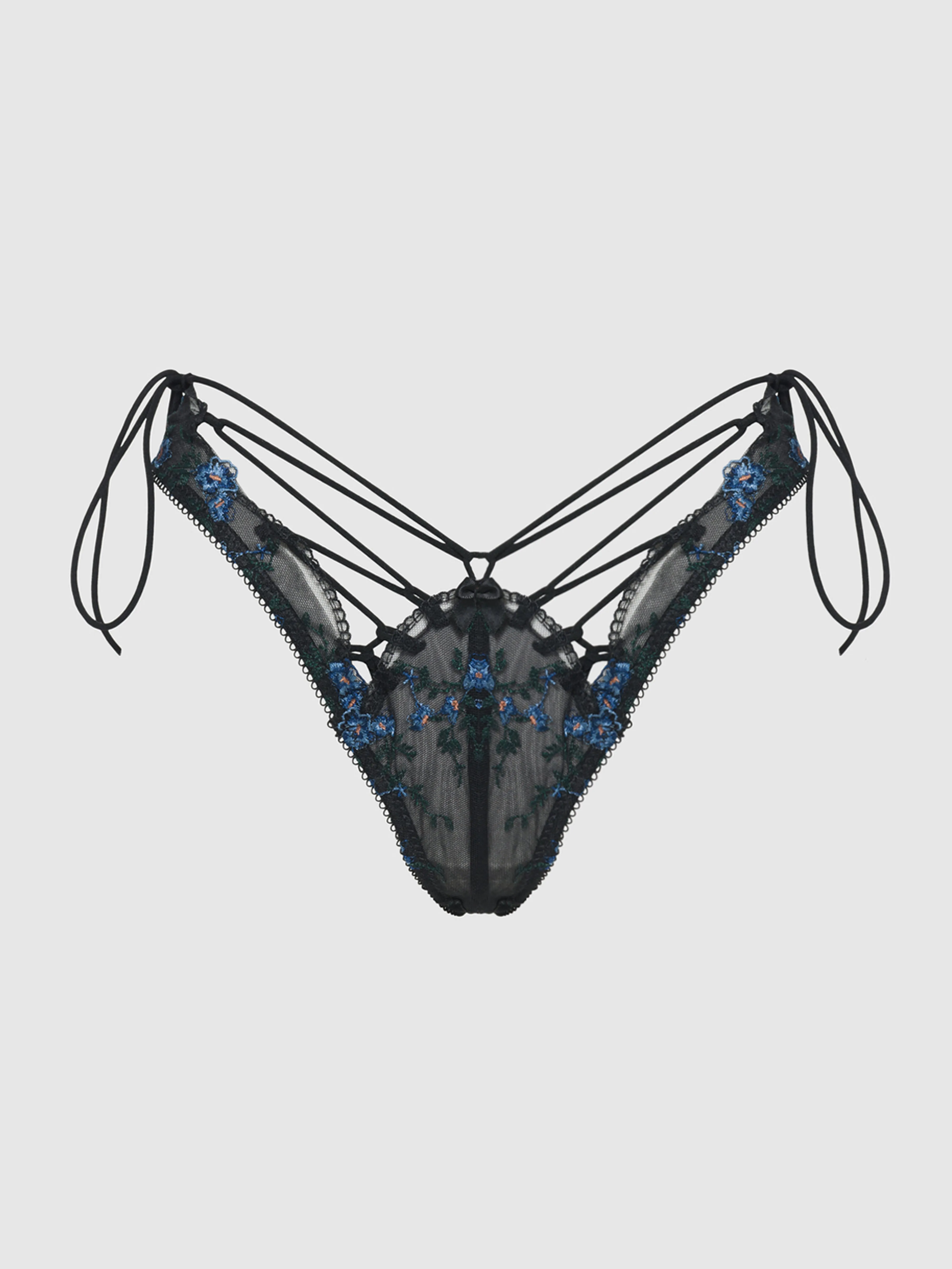 Harlow Embroidered Mesh Hipster