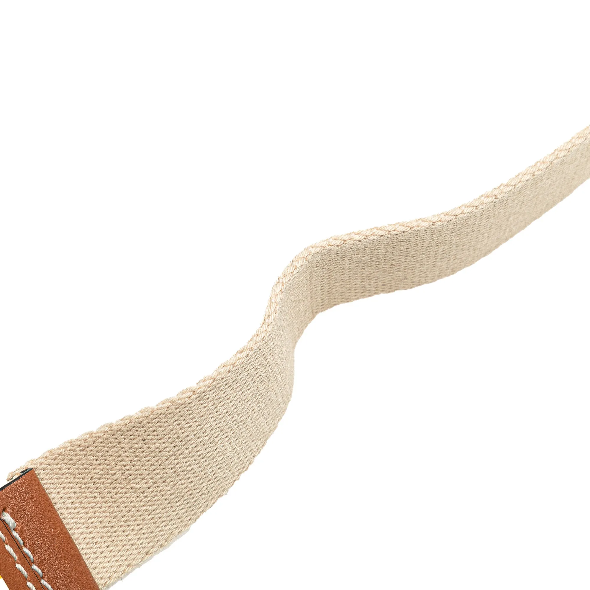 LOEWE Paulas Ibiza Printed Canvas Belt Bag