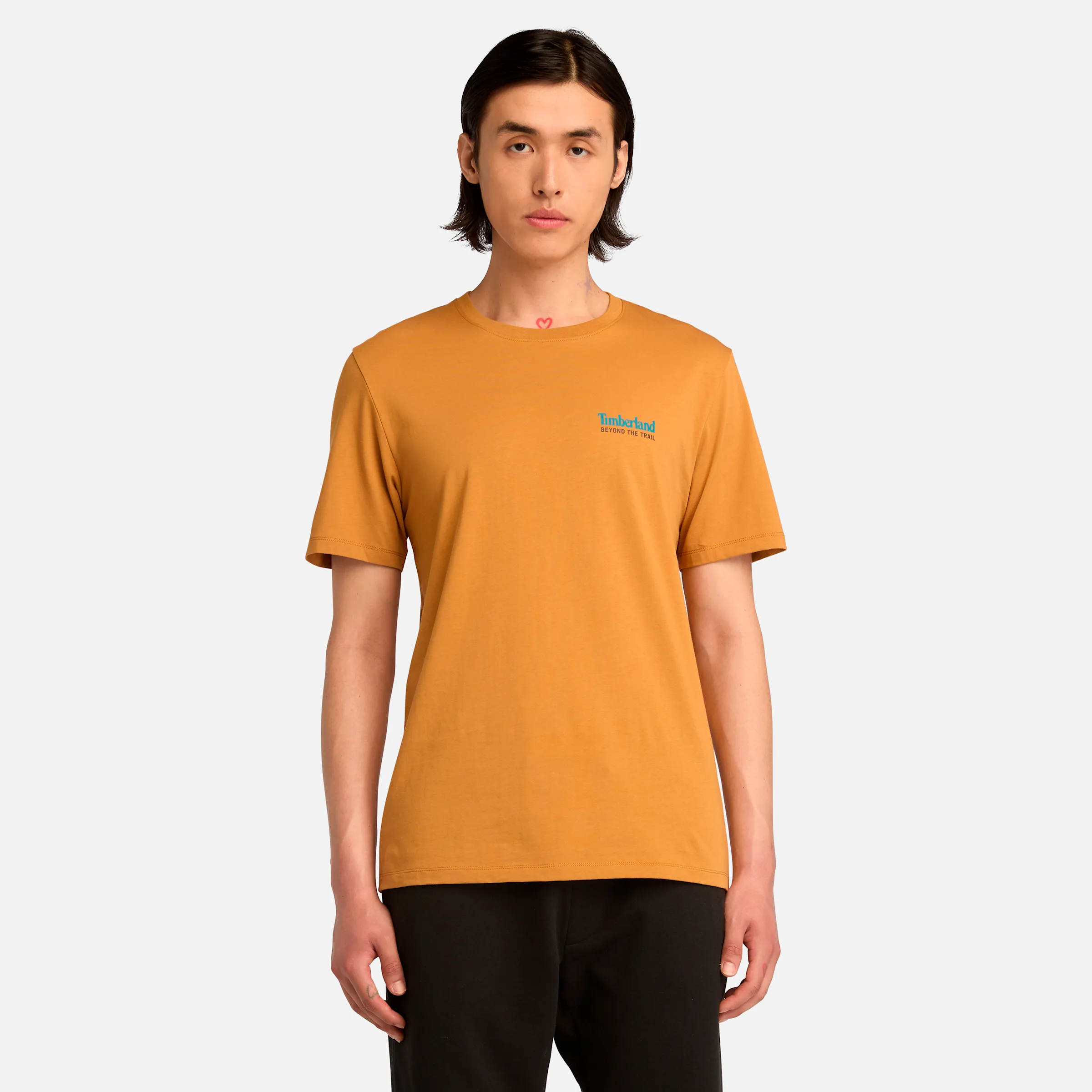 Men's Back Graphic Short Sleeve T-Shirt