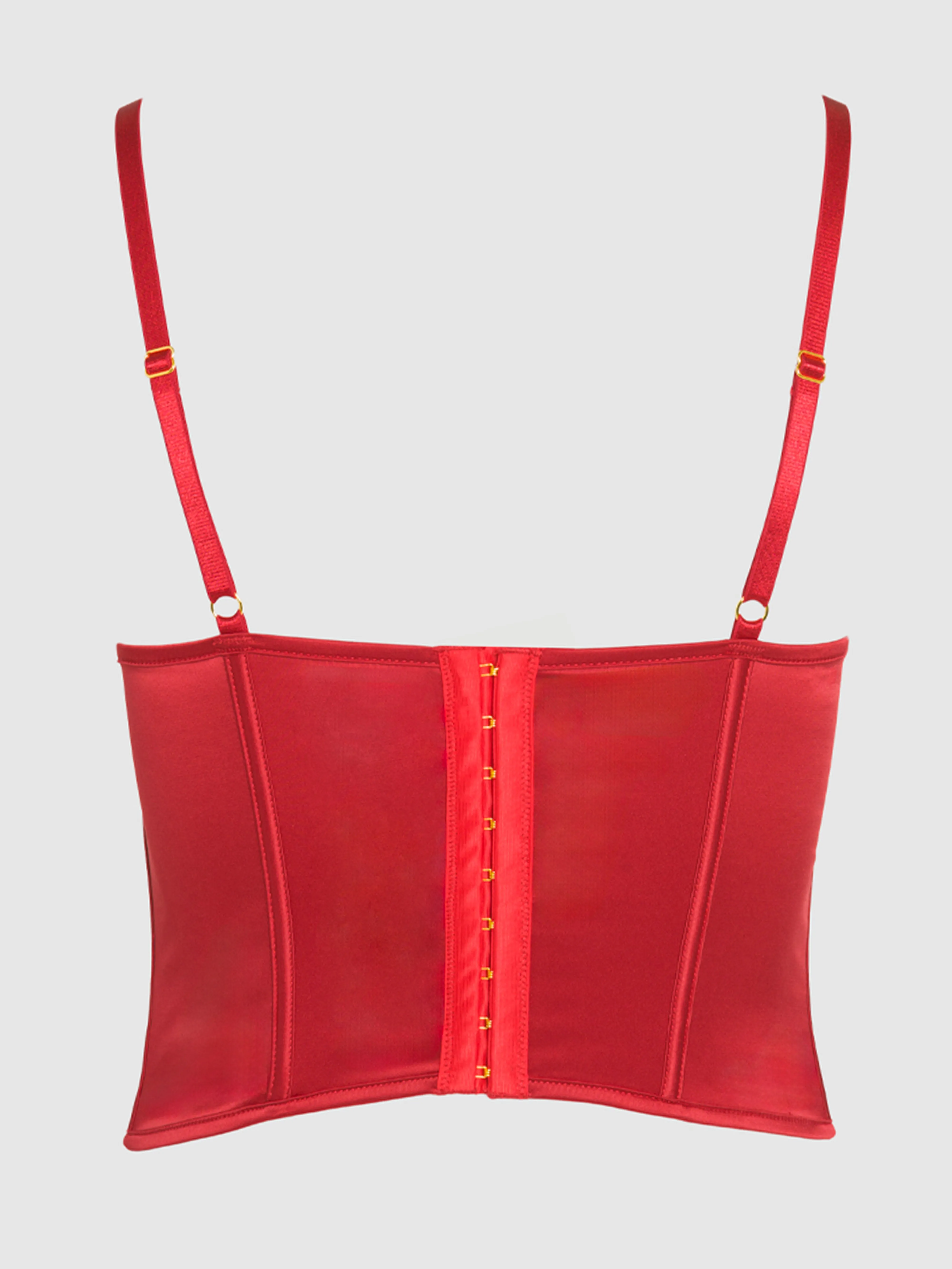 Petra Swirl Plunge Push Up Bustier