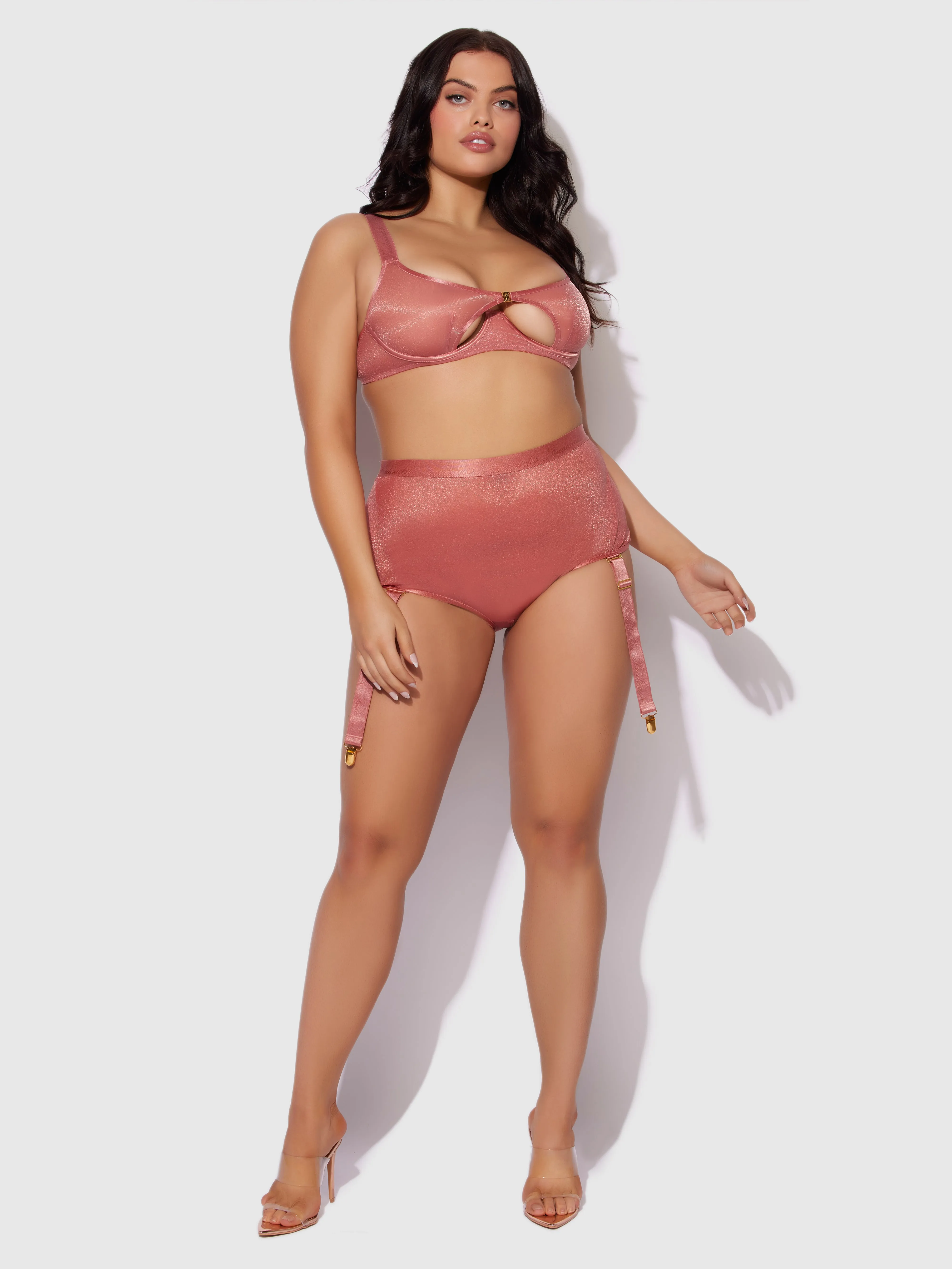 Pia Mesh Cutout & High-Waist Garter Panty